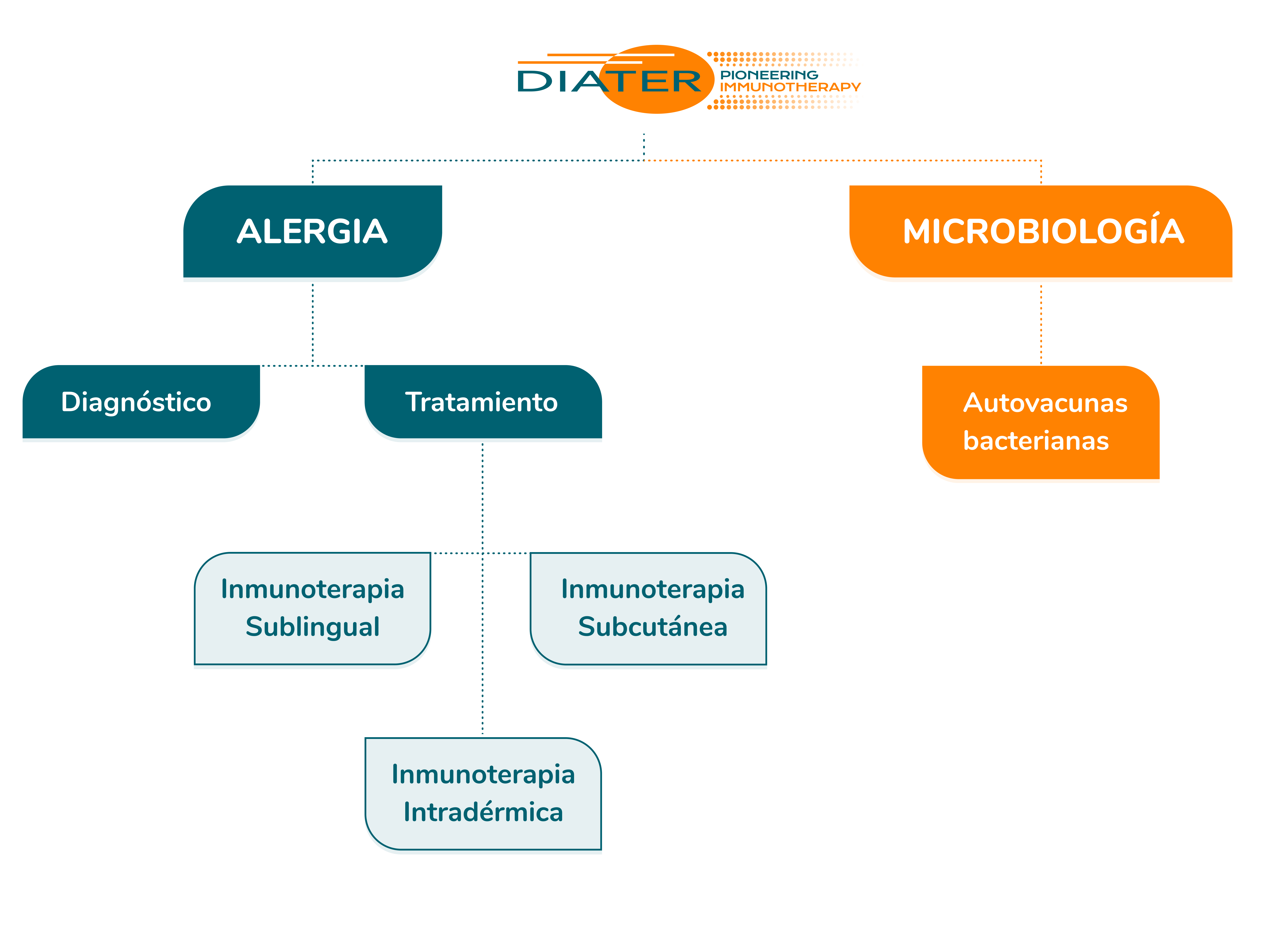 Diagrama áreas de negocio Diater